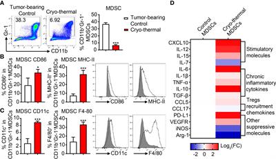Combining all-trans retinoid acid treatment targeting myeloid-derived suppressive cells with cryo-thermal therapy enhances antitumor immunity in breast cancer